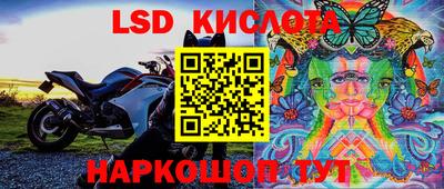 хмурый Кимры